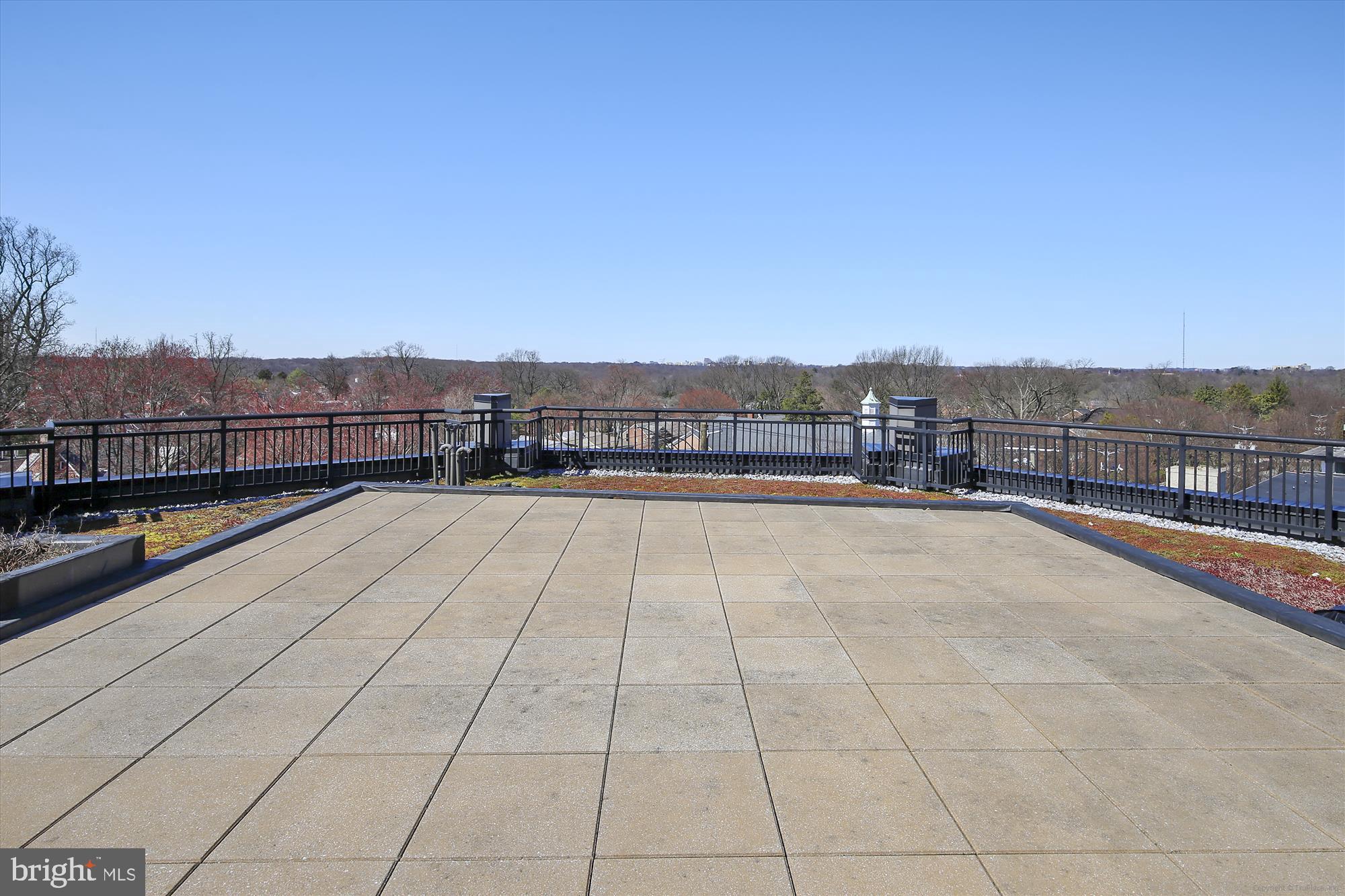 8005 13th Street, Unit 411 Silver Spring, MD 20910 - Photo 10 of 65 Roof top view