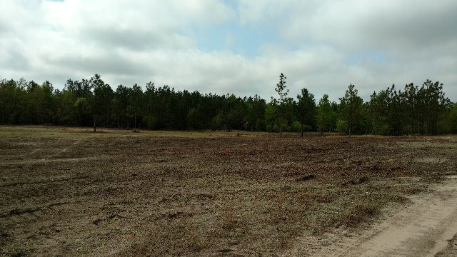 665 Windsor Road Windsor, SC 29856 - Photo 9 of 11