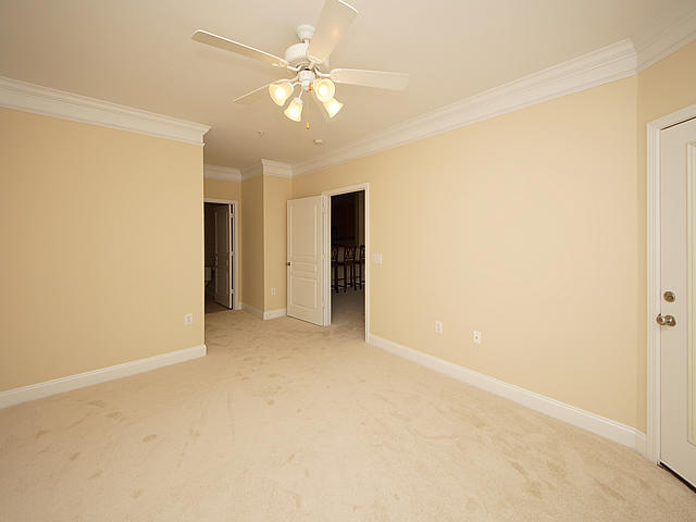 1713 Basildon Road Mount Pleasant, SC 29466 - Photo 10 of 28 Master Bedroom
