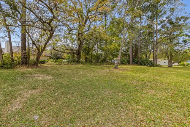 a view of outdoor space with trees all around
