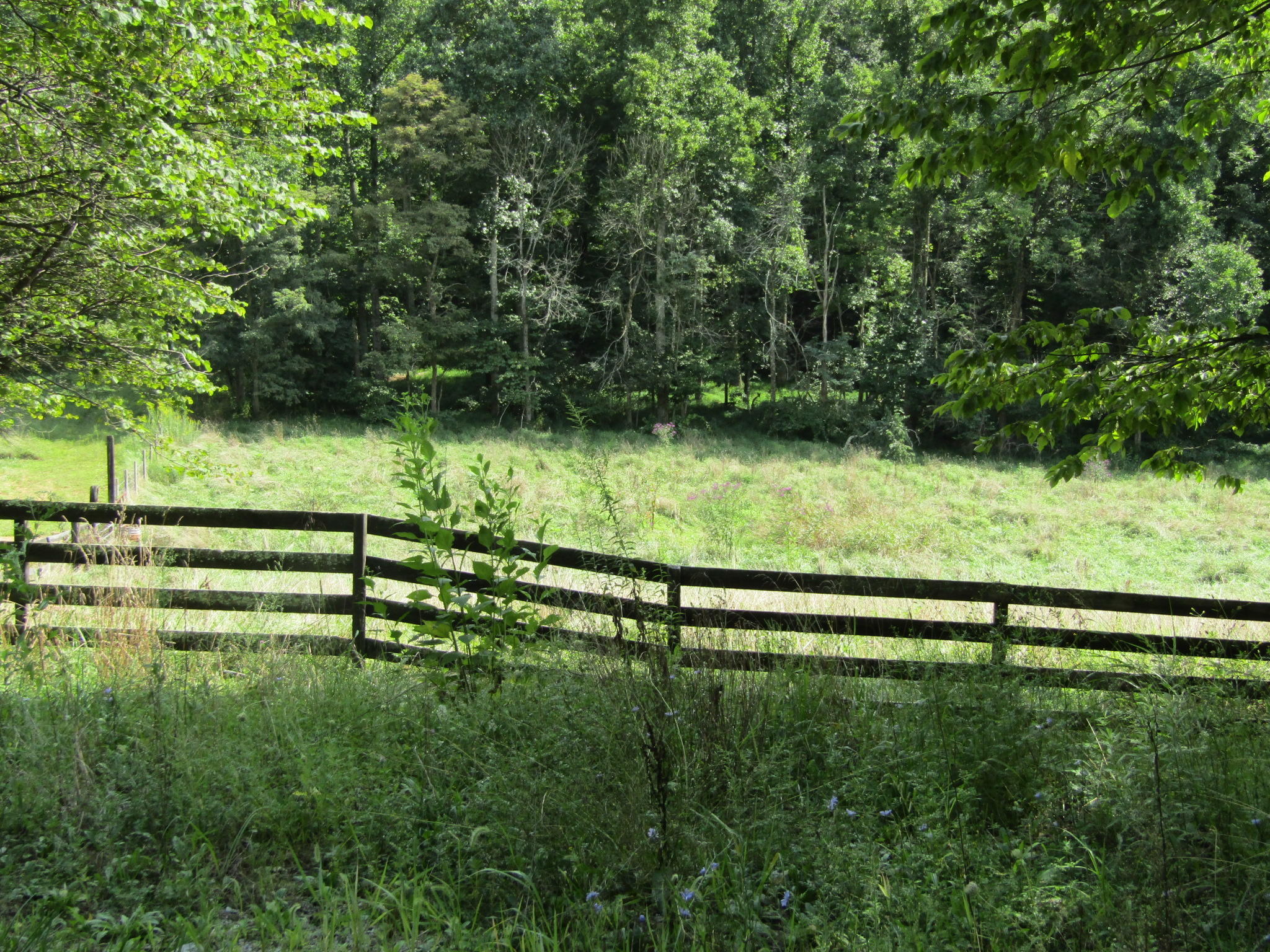 404 Spurgeon Road Blountville, TN 37617 - Photo 29 of 50 046
