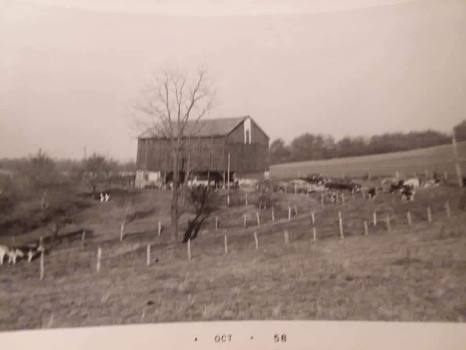 1182 Airport Road Aliquippa, PA 15001 - Photo 25 of 25 a view of a yard
