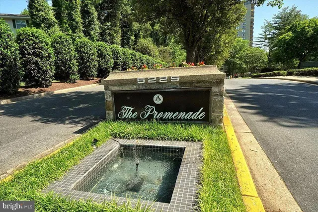 a view of a bench in a park