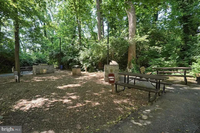 a view of a garden with plants and large trees