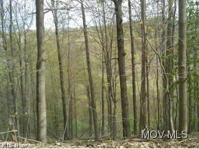 0 Bear Run Road Cairo, WV 26337 - Photo 7 of 24
