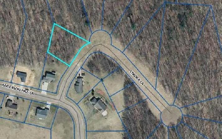 1441 Sykora Lane Boyceville, WI 54725 - Photo 2 of 12