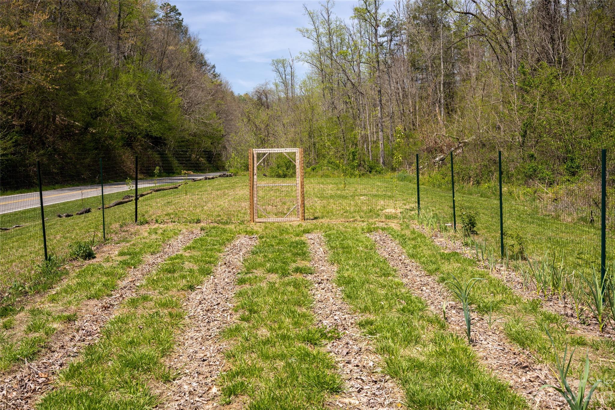 241 Sandy Mush Road Marshall, NC 28753 - Photo 41 of 46 a view of a backyard