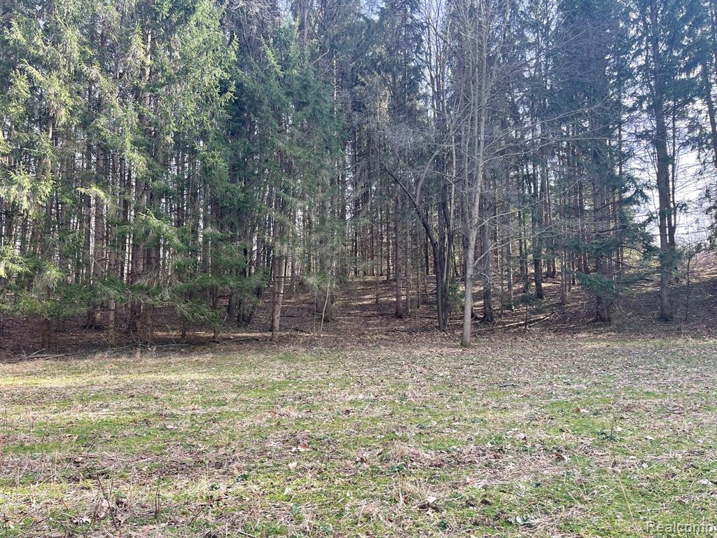 8611 Hanover Road Hanover, MI 49241 - Photo 4 of 65