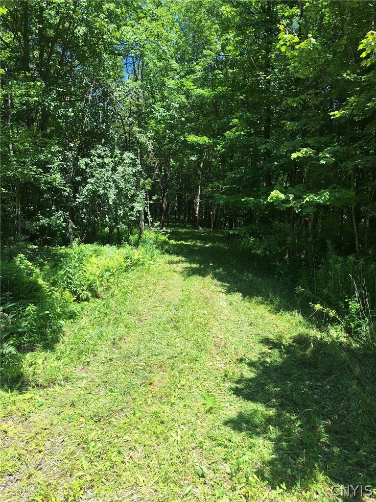 6 Streiff Road Rome, NY 13440 - Photo 4 of 17