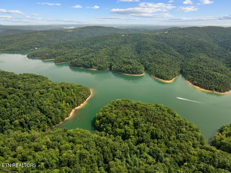 976 Livingston Boatdock Road Allons, TN 38541 - Photo 14 of 21 gedwill use 9