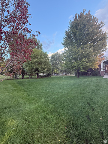 3145 South 500 West Vernal, UT 84078 - Photo 2 of 64 View of green lawn