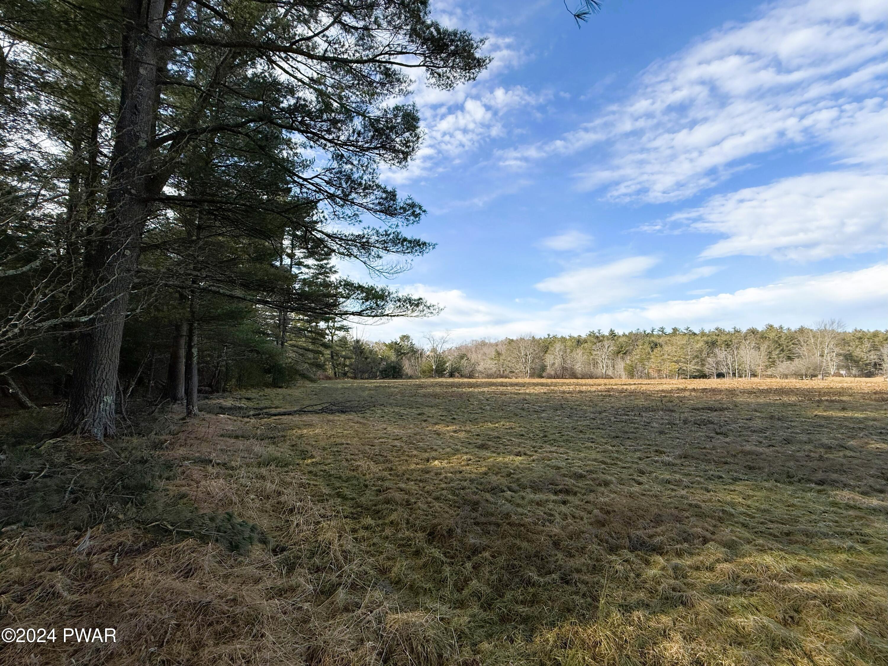 Swamp Brook Road Hawley, PA 18428 - Photo 2 of 12
