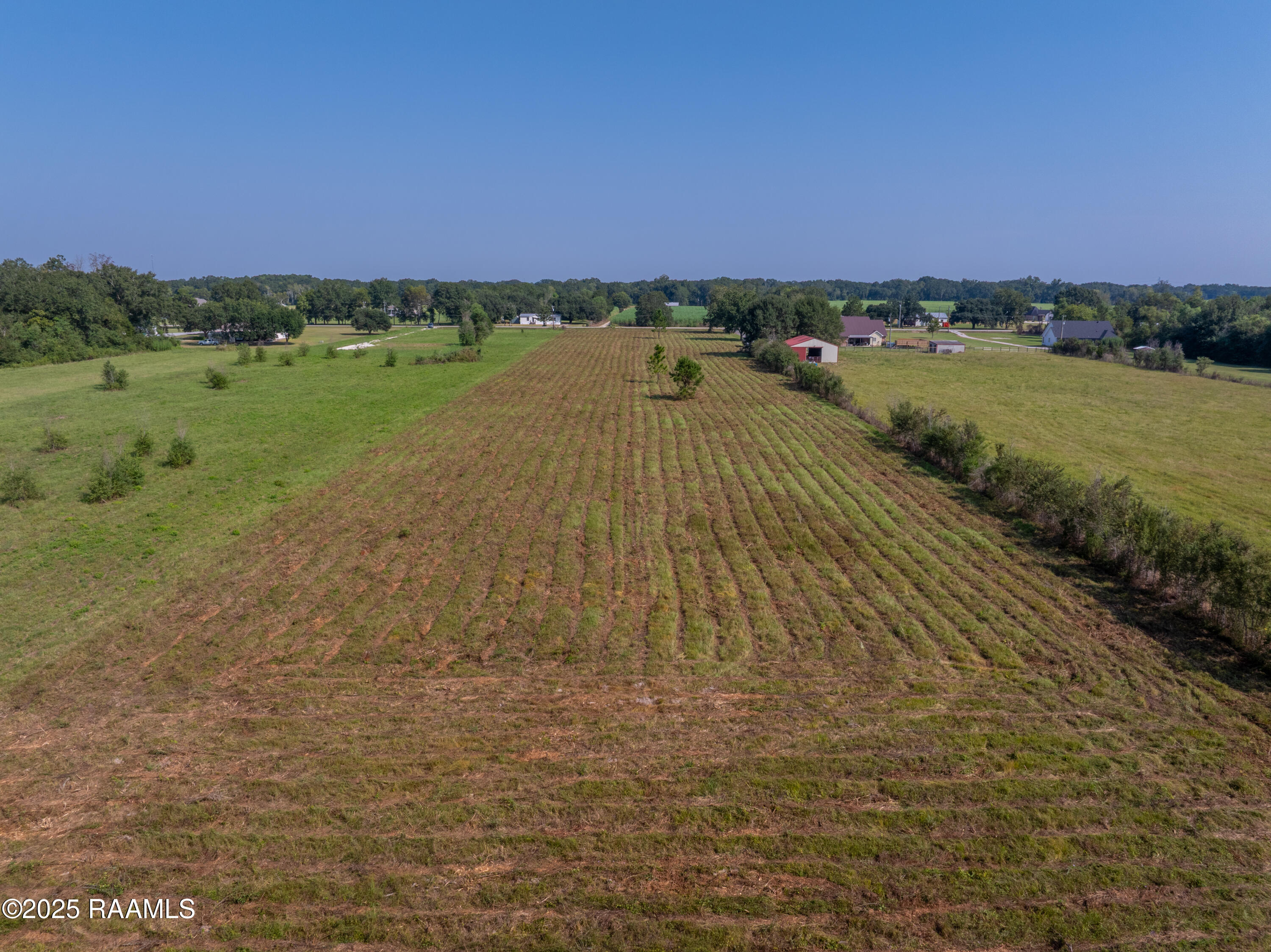 754 Sunset La Sunset, LA 70584 - Photo 4 of 8 TBDLA-754-7