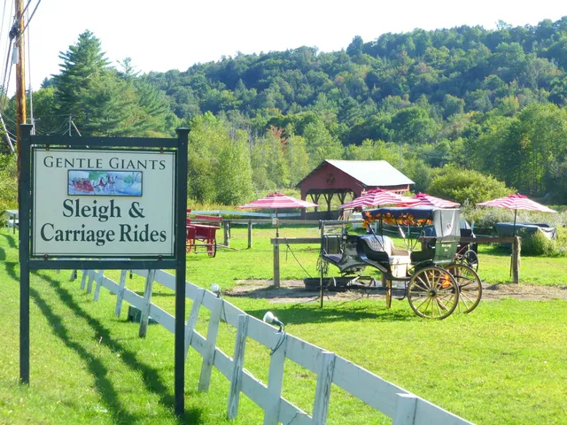 $1,500,000 | 608 B Topnotch Drive, Unit 608B, Stowe, VT 05672