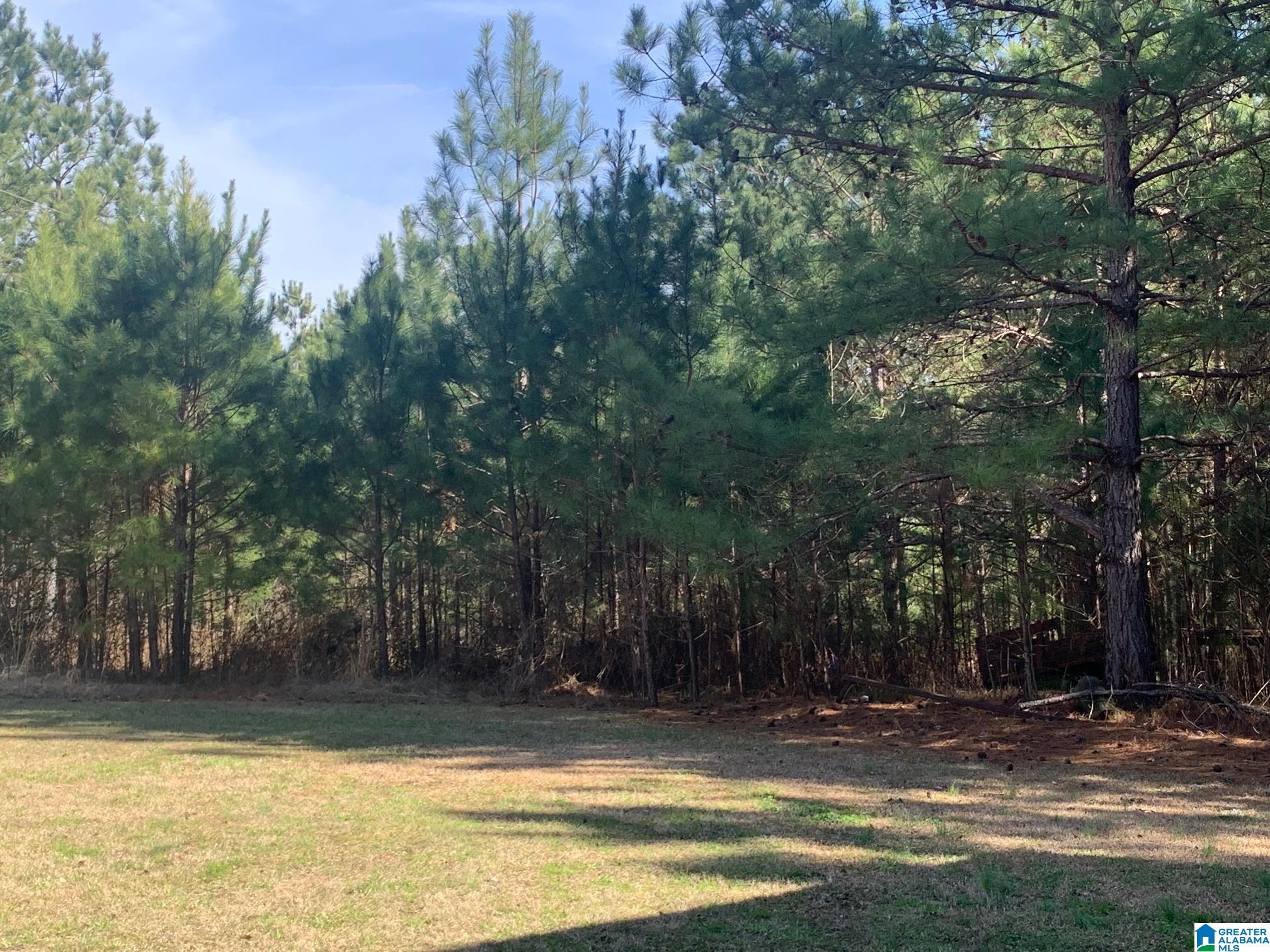 1404 Maxwellborn Road Piedmont, AL 36272 - Photo 26 of 36