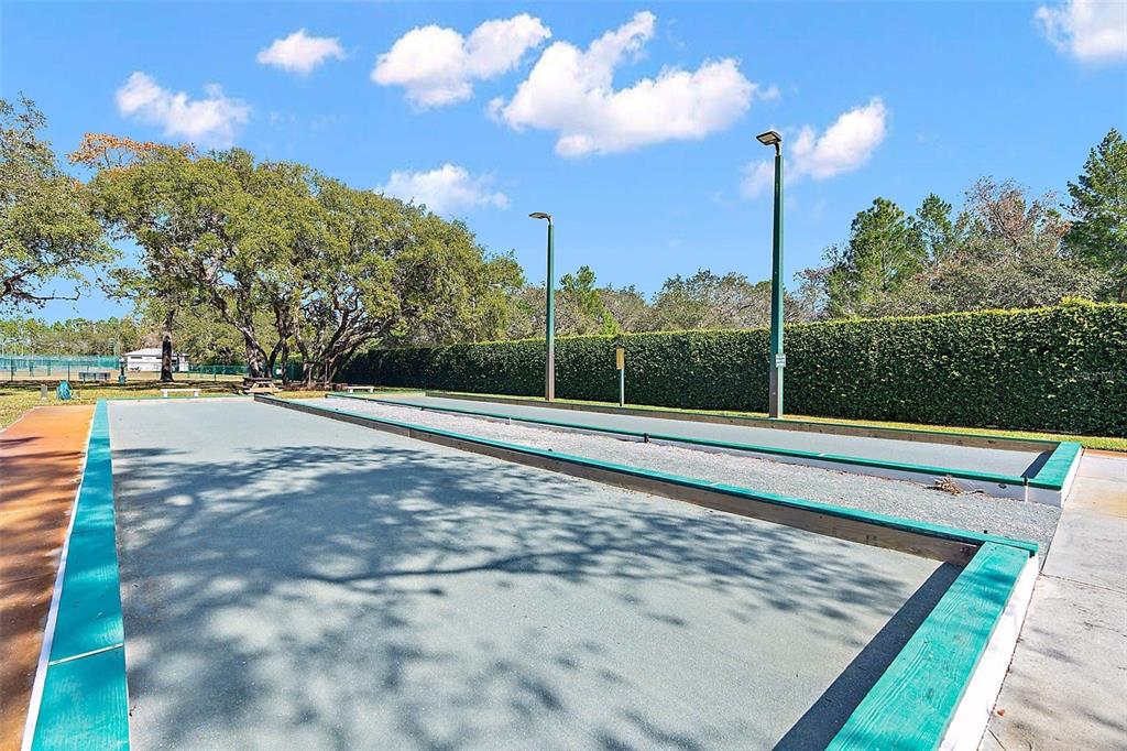 9013 Mississippi Run Weeki Wachee, FL 34613 - Photo 95 of 99 a view of a backyard