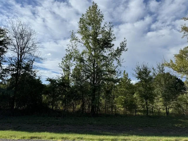 a view of backyard with green space