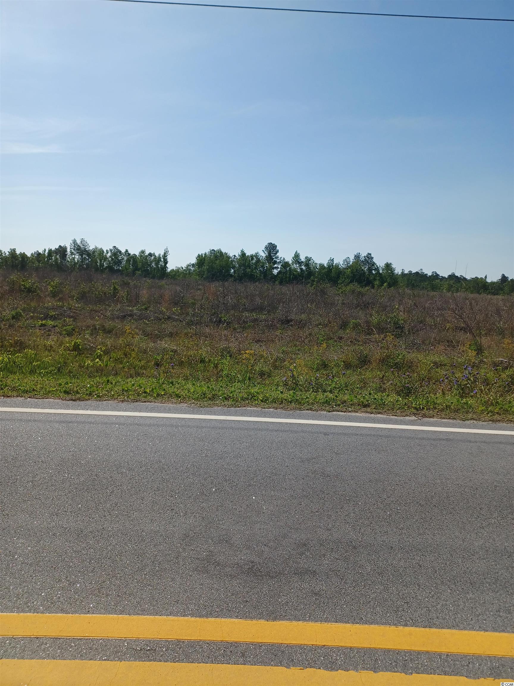 Lot 10 Mw Stroud Road Nichols, SC 29581 - Photo 1 of 1 Gallery Image 1