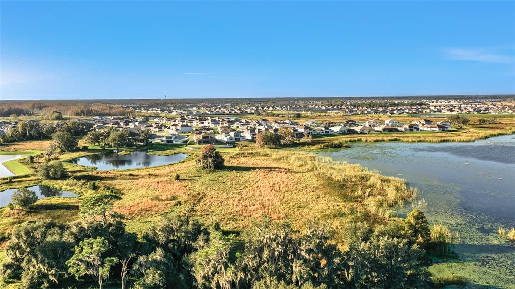 31885 Anchor Pt Drive Wesley Chapel, FL 33545 - Photo 61 of 83