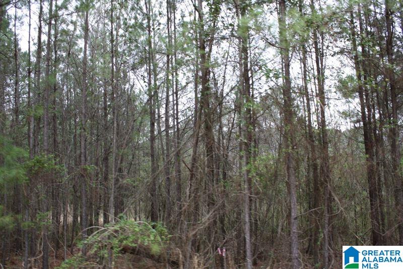Old Choccolocco Road, Unit 97 Weaver, AL 36277 - Photo 10 of 27