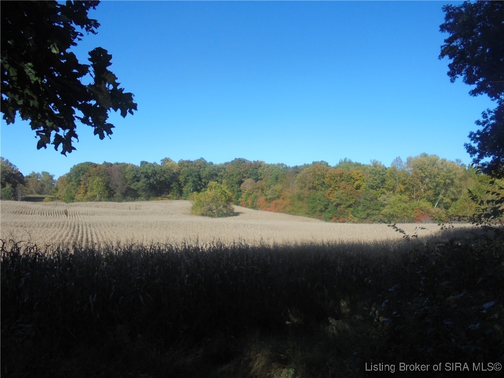 798 East Brown Road Pekin, IN 47165 - Photo 12 of 98 Tillable land at back of property.