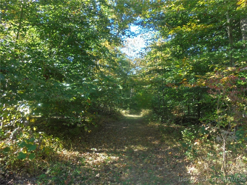 798 East Brown Road Pekin, IN 47165 - Photo 94 of 98 Wooded acreage with paths.