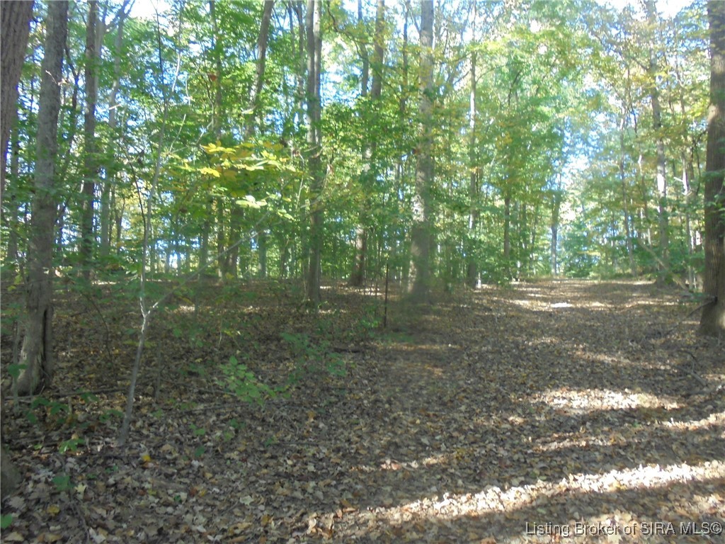 798 East Brown Road Pekin, IN 47165 - Photo 98 of 98 Beautiful hiking area on your own property.