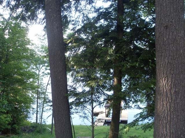 1431 Silver Lake Road Eagle River, WI 54521 - Photo 10 of 20 Gallery Image 10