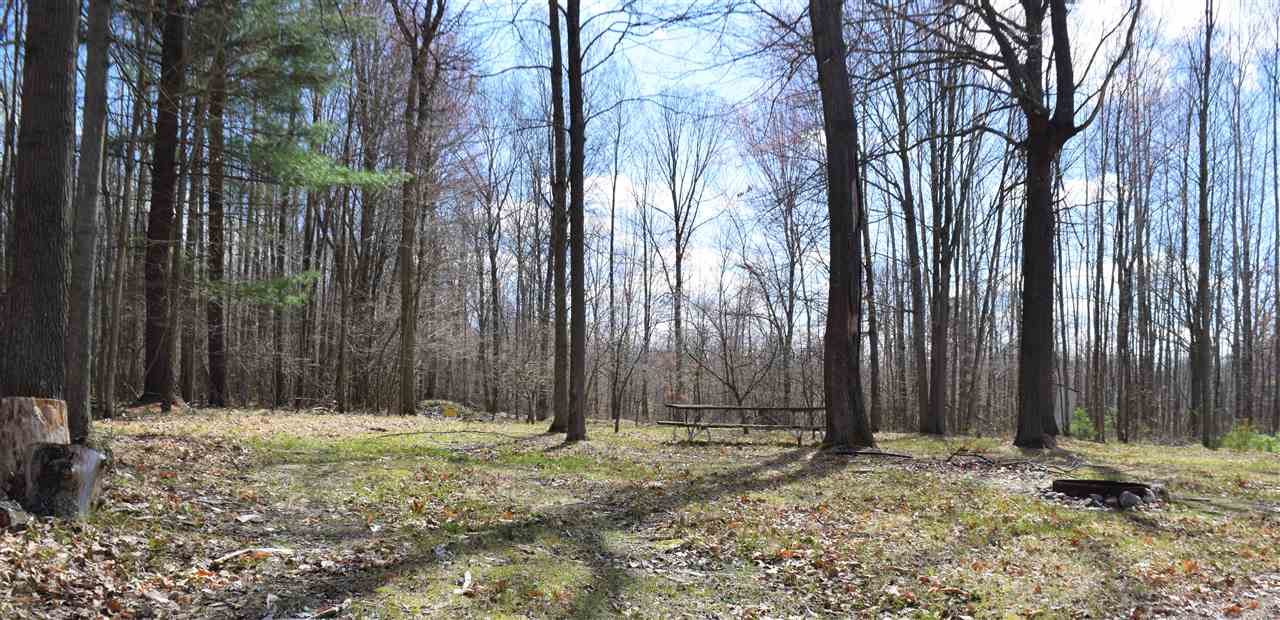 3190 North Old State Road Weidman, MI 48893 - Photo 16 of 33 1886295-15.JPG