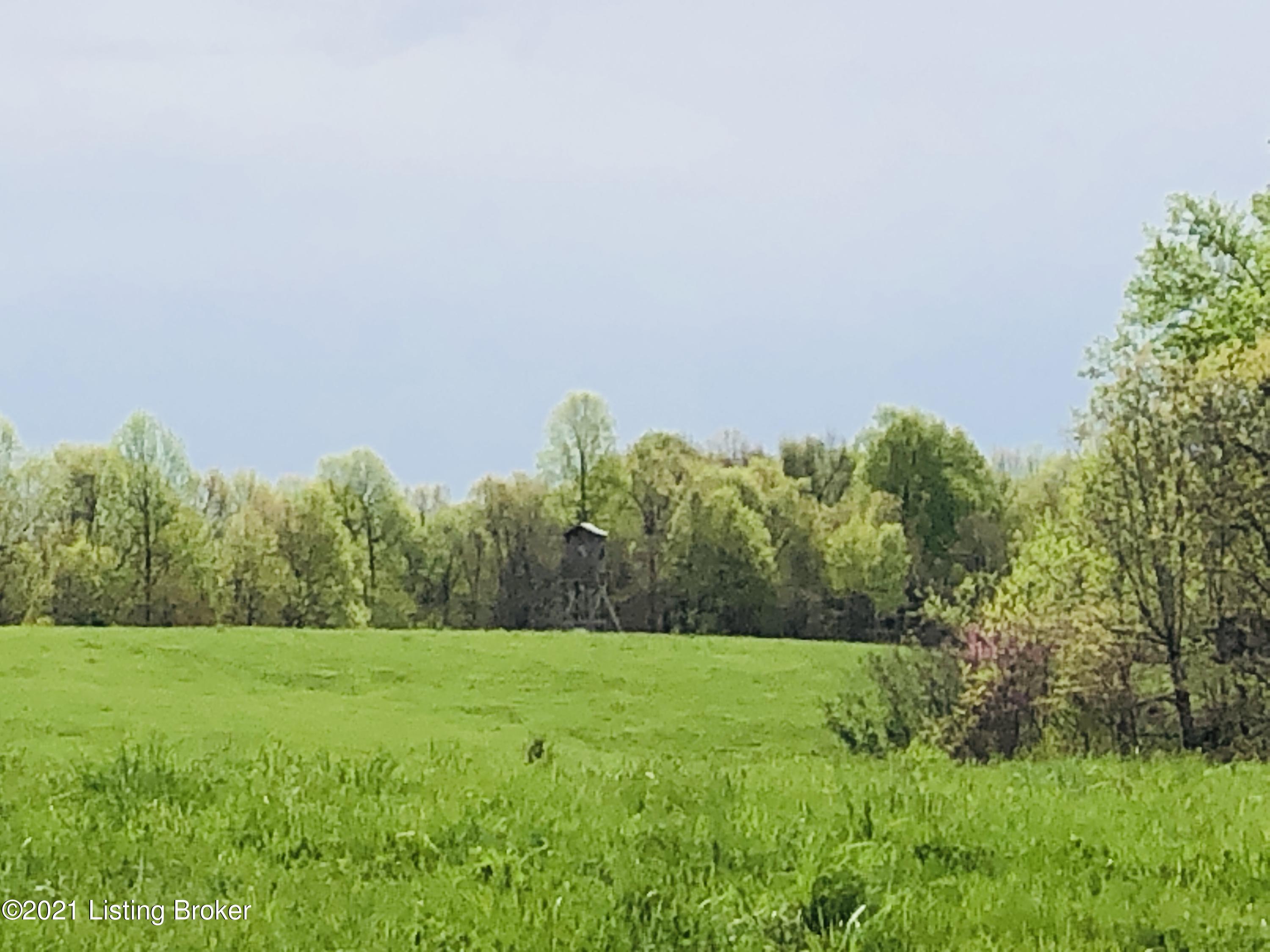 5783 Bowling Green Road Caneyville, KY 42721 - Photo 51 of 56 IMG_3815
