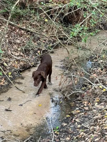 a view of a garden with an outdoor space