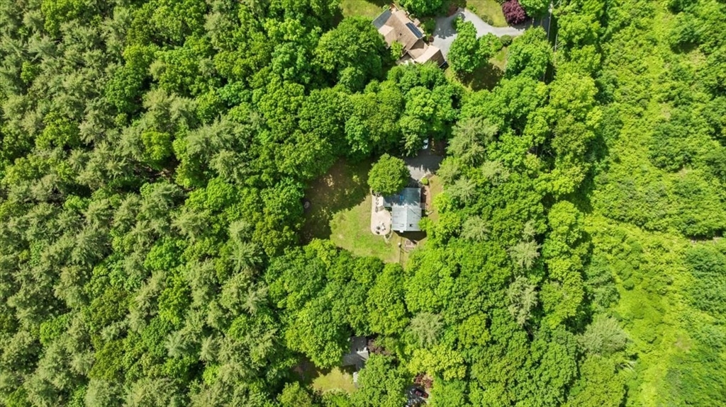 31 Lawton Road Shirley, MA 01464 - Photo 3 of 37 a backyard of a house with a tree