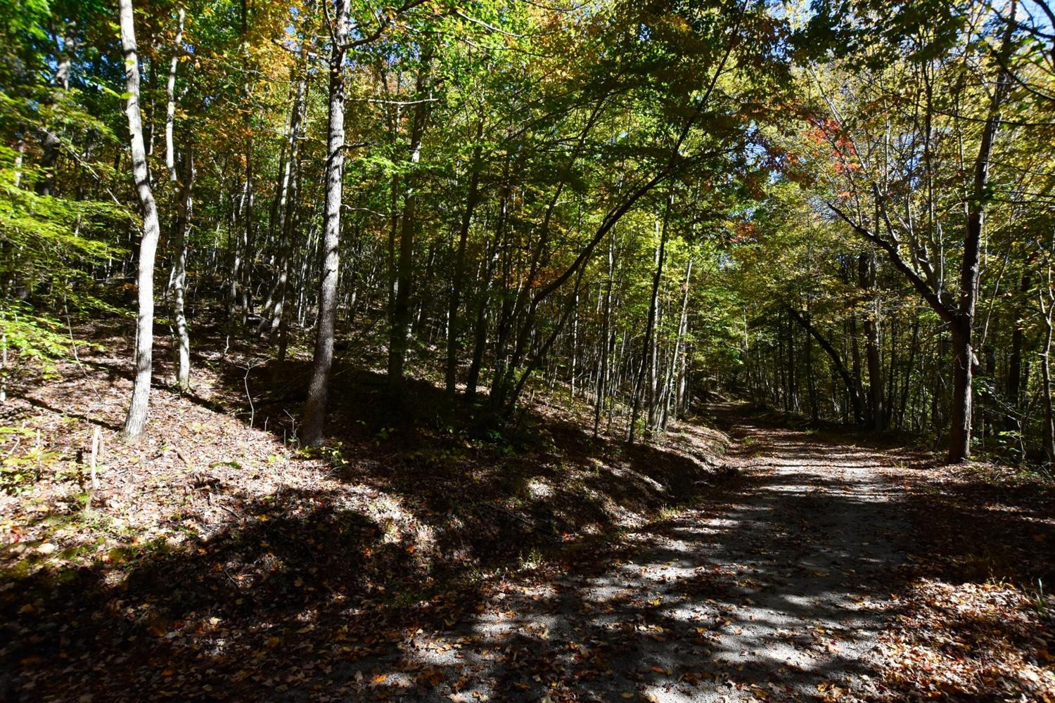9999 Flinchum Ridge Road Irvine, KY 40336 - Photo 11 of 14 Nothing like a shady country road to you