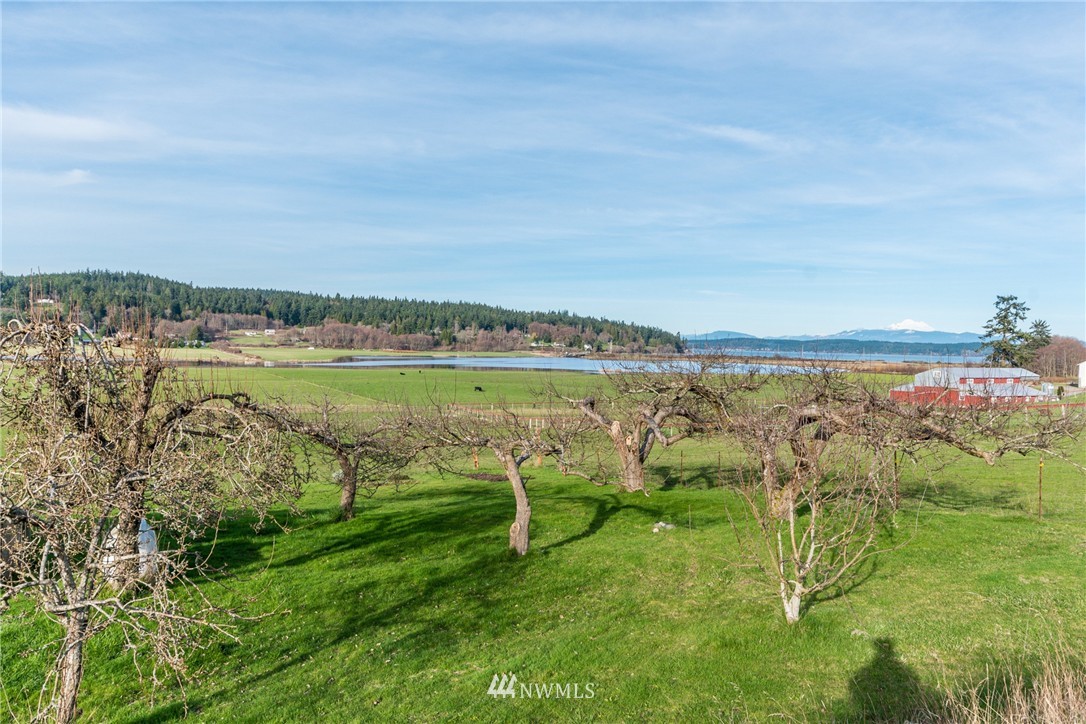 175 East Frostad Road Oak Harbor, WA 98277 - Photo 22 of 25 Gallery Image 22