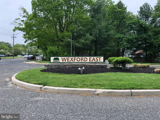 a view of a park with a bench and trees