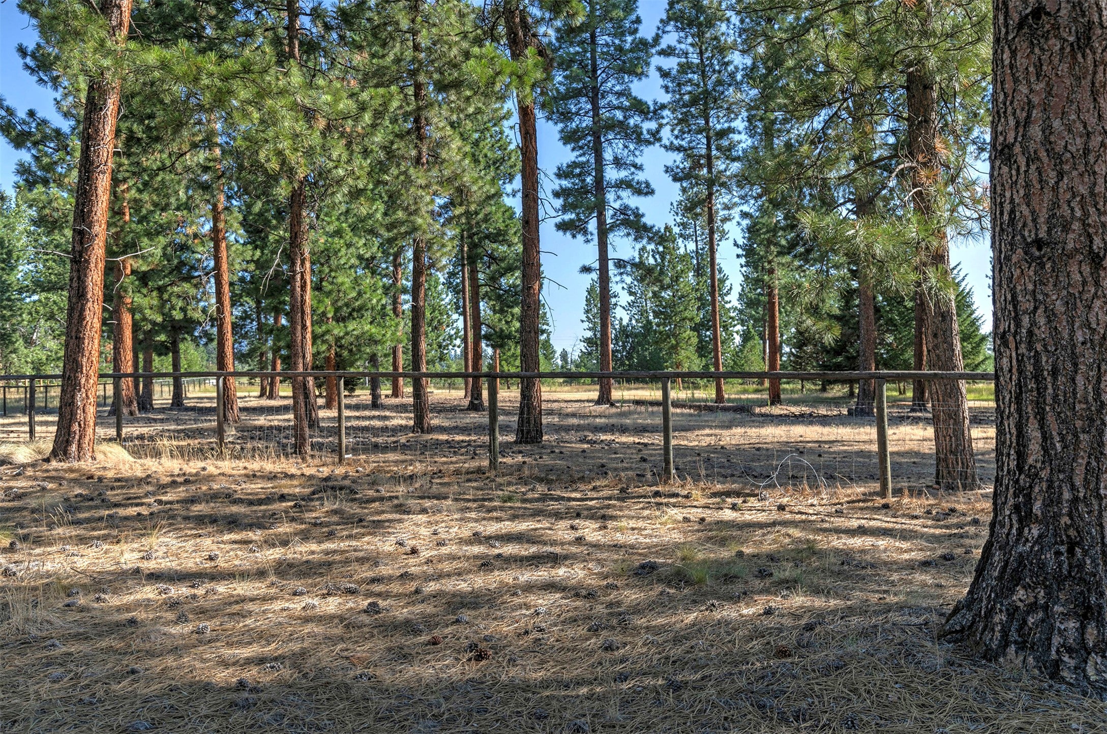 821 Fred Burr Road Victor, MT 59875 - Photo 44 of 65 Gallery Image 44