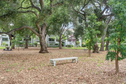 a view of a yard with plants and trees