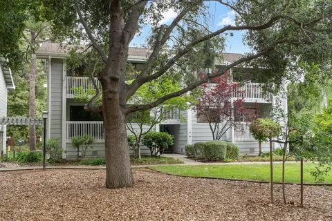 a front view of a house with a yard and potted plants