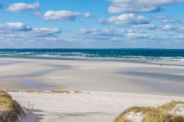 a view of beach and ocean