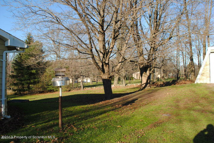 422 Gravity Hill Road Lake Ariel, PA 18436 - Photo 6 of 7 a view of large trees with yard