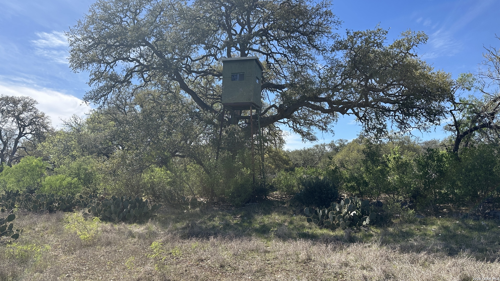 705 Elbel Bend Spring Branch, TX 78070 - Photo 12 of 33
