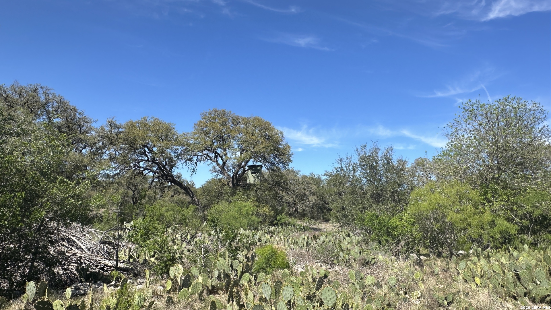 705 Elbel Bend Spring Branch, TX 78070 - Photo 13 of 33