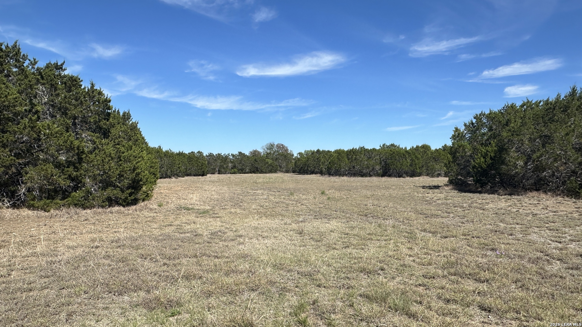 705 Elbel Bend Spring Branch, TX 78070 - Photo 14 of 33