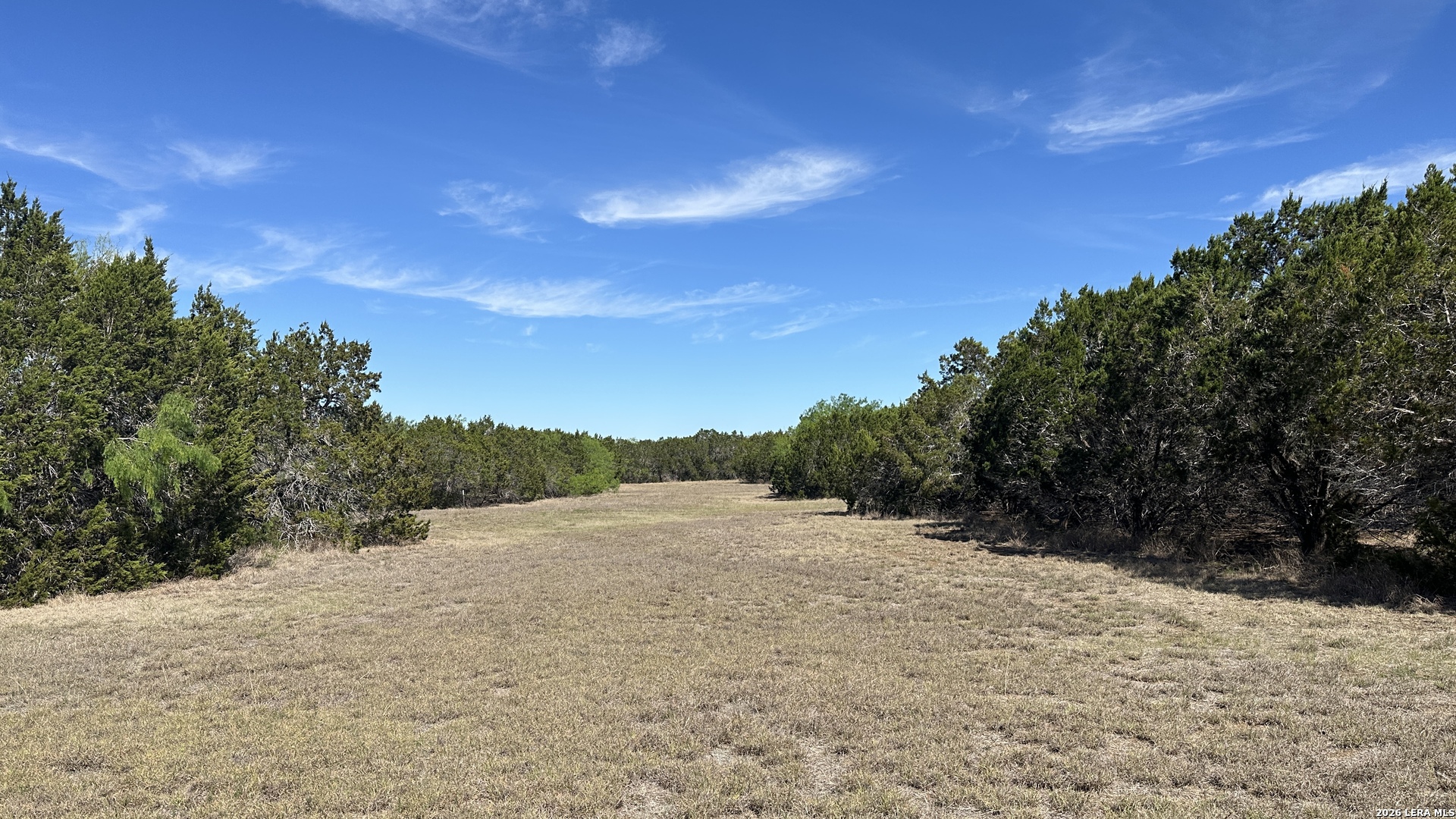 705 Elbel Bend Spring Branch, TX 78070 - Photo 16 of 33