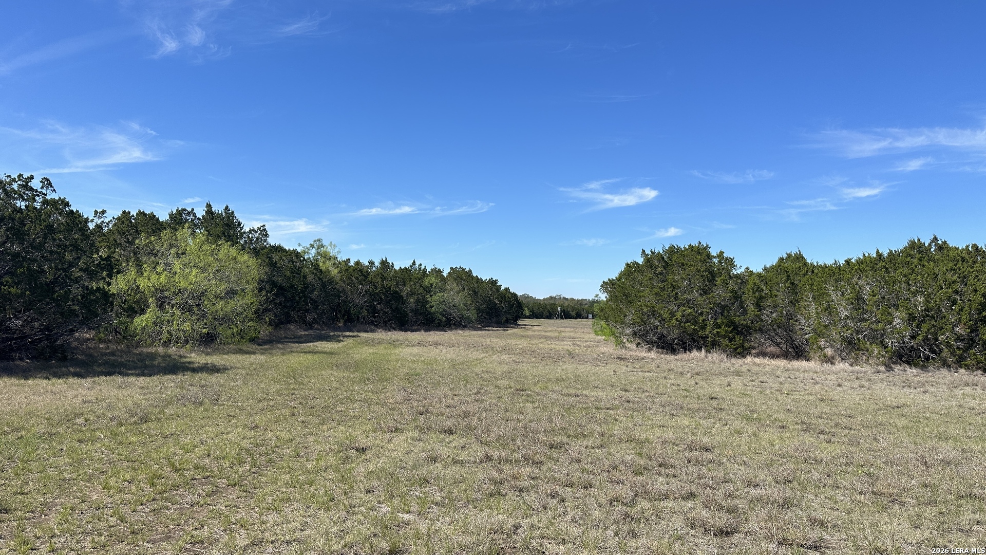 705 Elbel Bend Spring Branch, TX 78070 - Photo 17 of 33