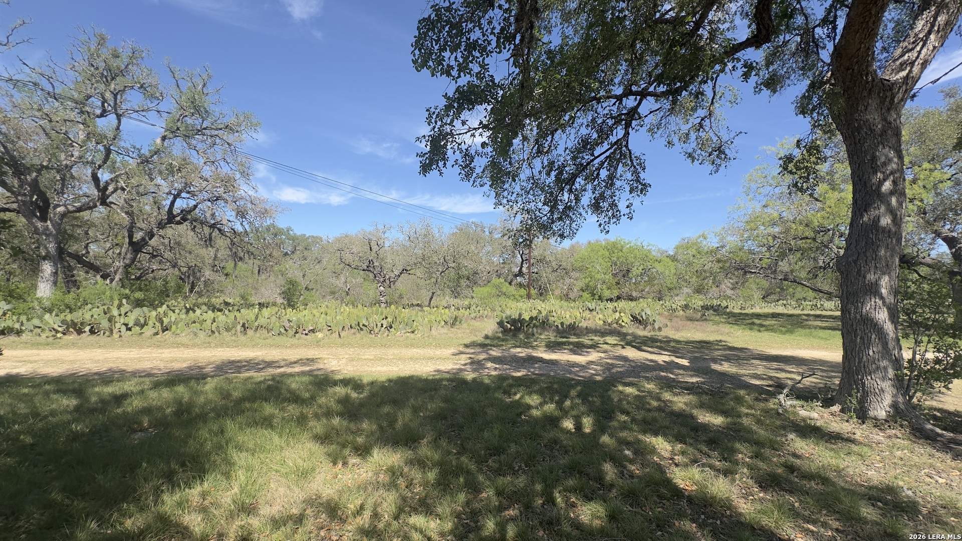 705 Elbel Bend Spring Branch, TX 78070 - Photo 18 of 33
