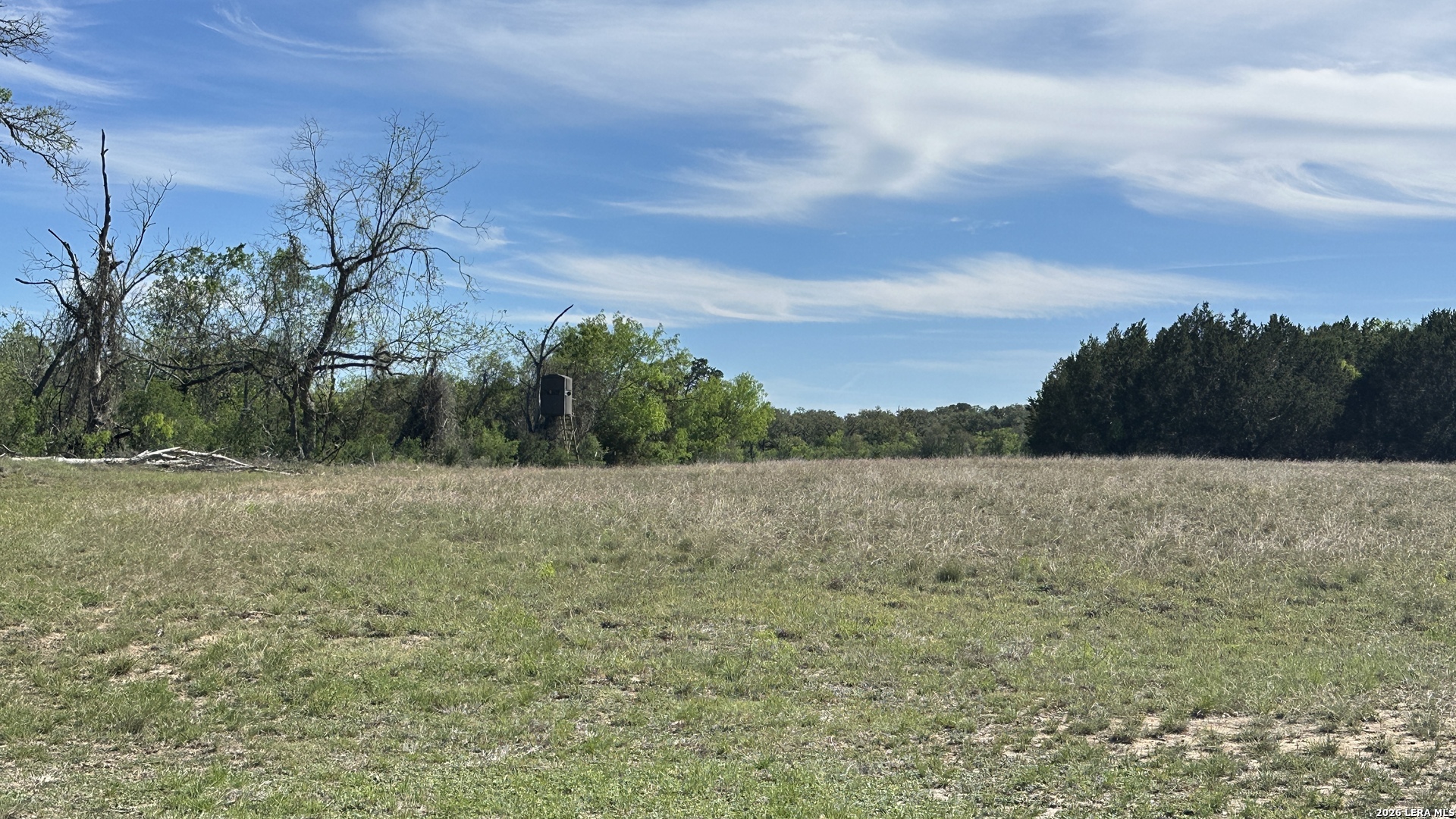 705 Elbel Bend Spring Branch, TX 78070 - Photo 10 of 33