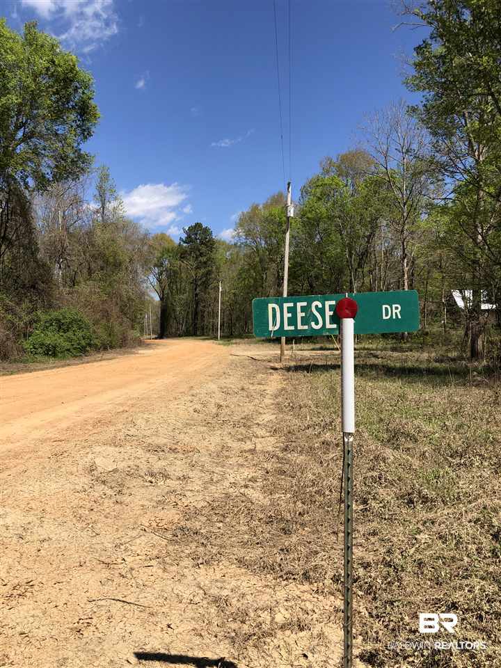 19 Sandy Bottoms Road Gainestown, AL 36540 - Photo 10 of 11 Gallery Image 10
