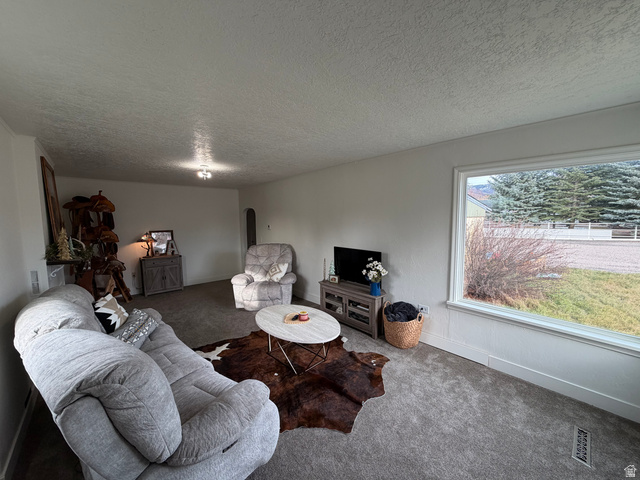 108 West 2nd South Grace, ID 83241 - Photo 3 of 20 Carpeted living room with arched walkways and large picture windows.