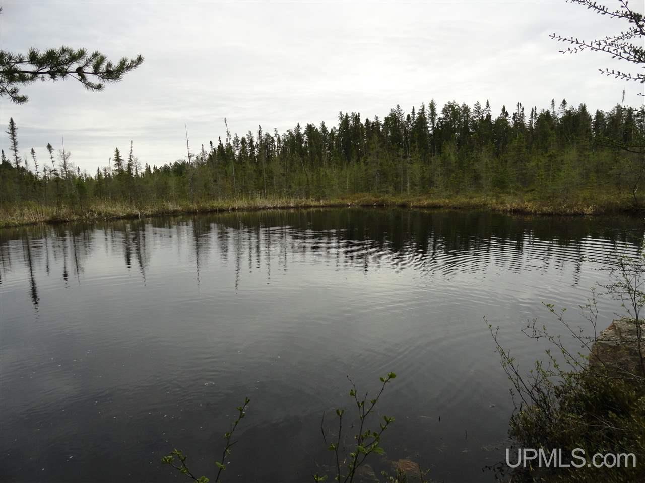 39-acres 39-acres Co Road Ishpeming, MI 49849 - Photo 11 of 39